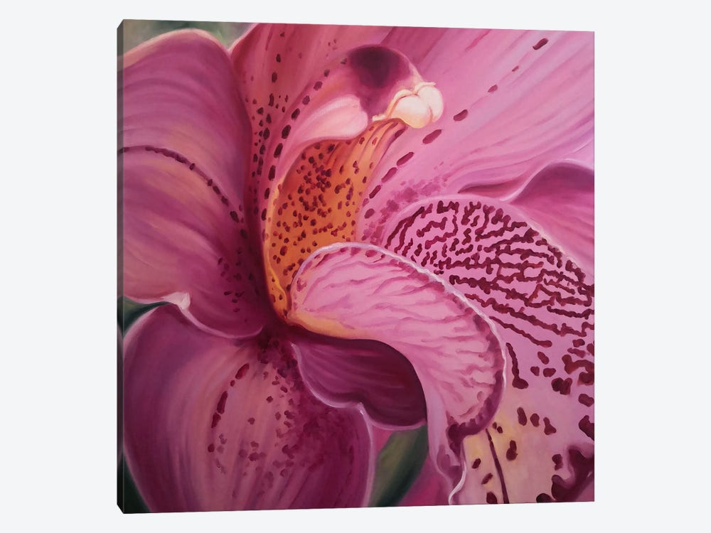 Orchid - A Flower Of Passion II by Jane Lantsman 1-piece Canvas Artwork