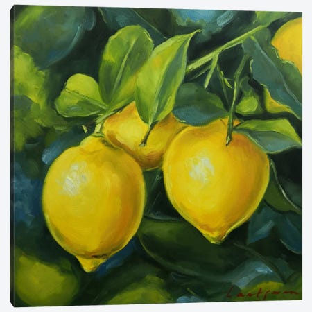 Lemons On A Branch Canvas Print #LNX32} by Jane Lantsman Canvas Artwork