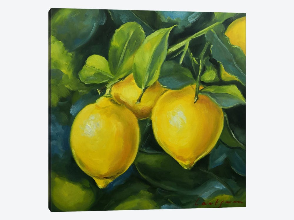 Lemons On A Branch by Jane Lantsman 1-piece Canvas Artwork