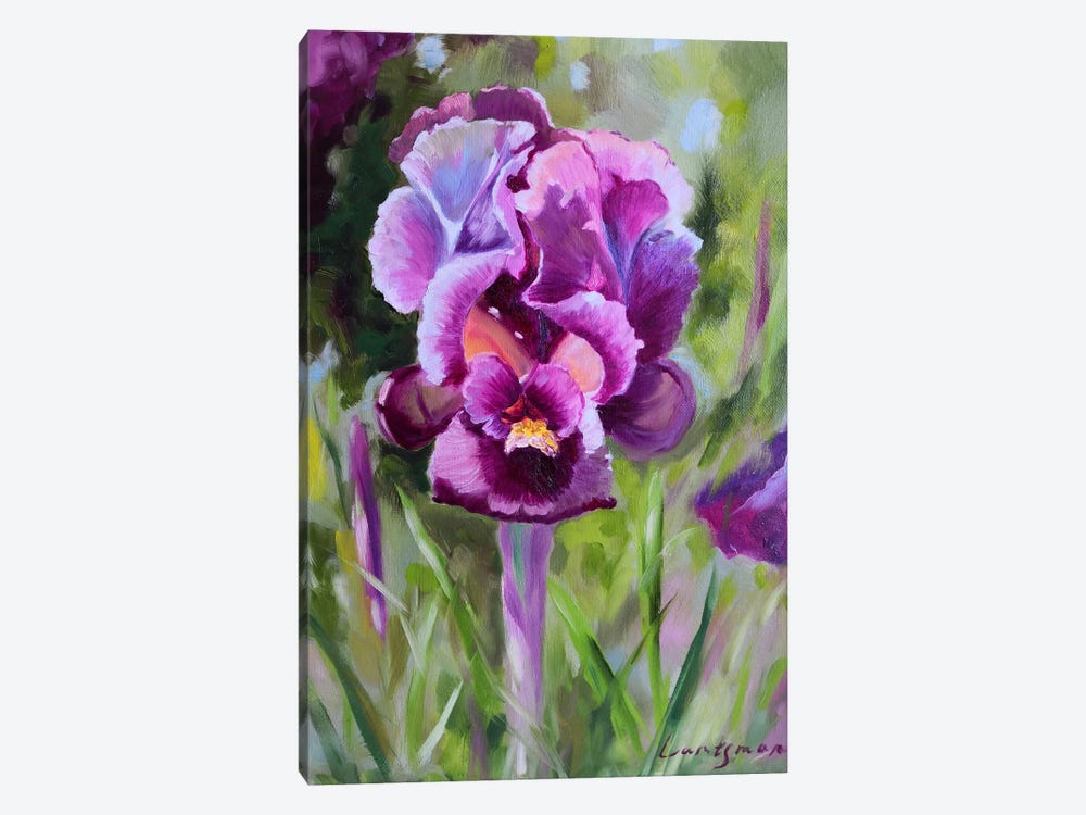 Purple Iris In The Garden by Jane Lantsman 1-piece Canvas Artwork