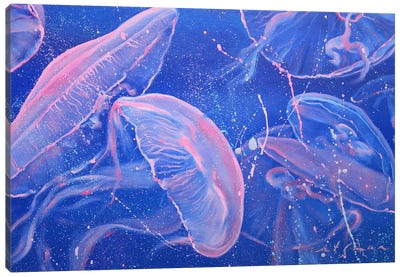 Jellyfish Underwater Life Canvas Art Print - Jellyfish Art