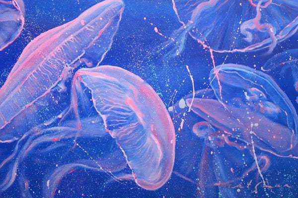 Jane Lantsman: Jellyfish Underwater Life by Jane Lantsman