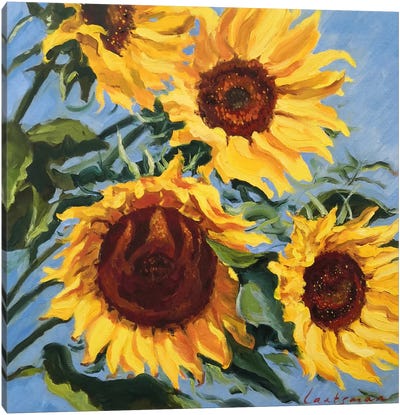 Sunflowers And A Blue Sky Canvas Art Print - Van Gogh's Sunflowers Collection