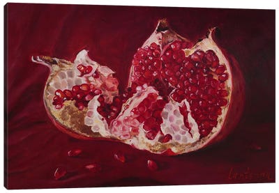 Ripe Pomegranate With Seeds Still Life In Red Colors Canvas Art Print - Jane Lantsman