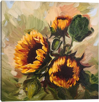 Sunflowers In The Garden Canvas Art Print - Jane Lantsman