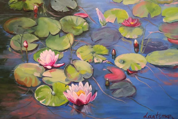 Jane Lantsman: Waterlily Pond With Lotus Flowers by Jane Lantsman