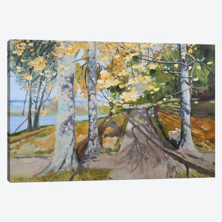 Gold Autumn In The Park Landscape Canvas Print #LNX72} by Jane Lantsman Canvas Wall Art