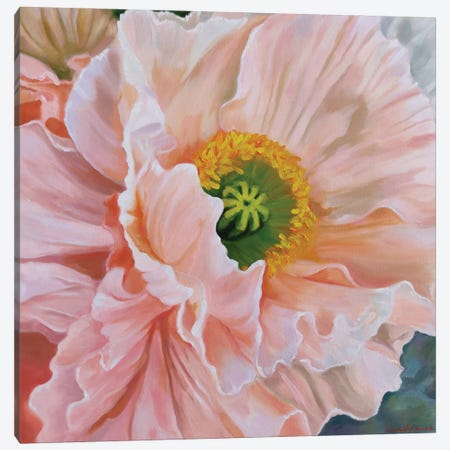 Delicate Poppy Canvas Print #LNX81} by Jane Lantsman Art Print