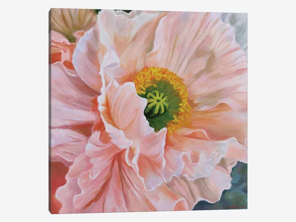 Delicate Poppy by Jane Lantsman 1-piece Canvas Art