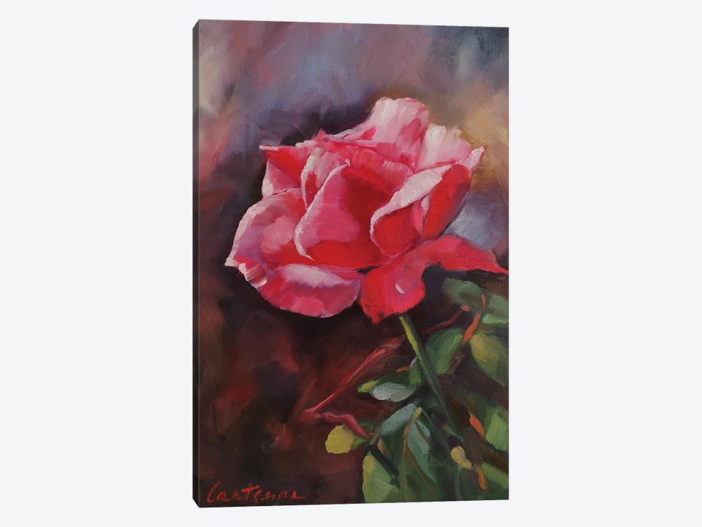 Pink Rose by Jane Lantsman 1-piece Canvas Wall Art