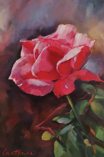 Jane Lantsman: Pink Rose by Jane Lantsman