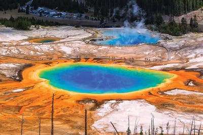 Color Explosion by Sergio Lanza framed canvas print