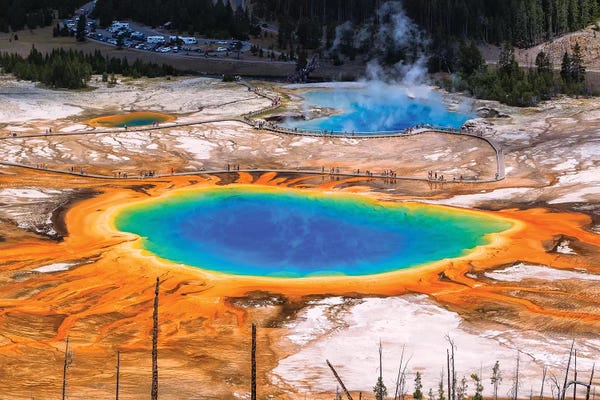 Sergio Lanza: Color Explosion by Sergio Lanza