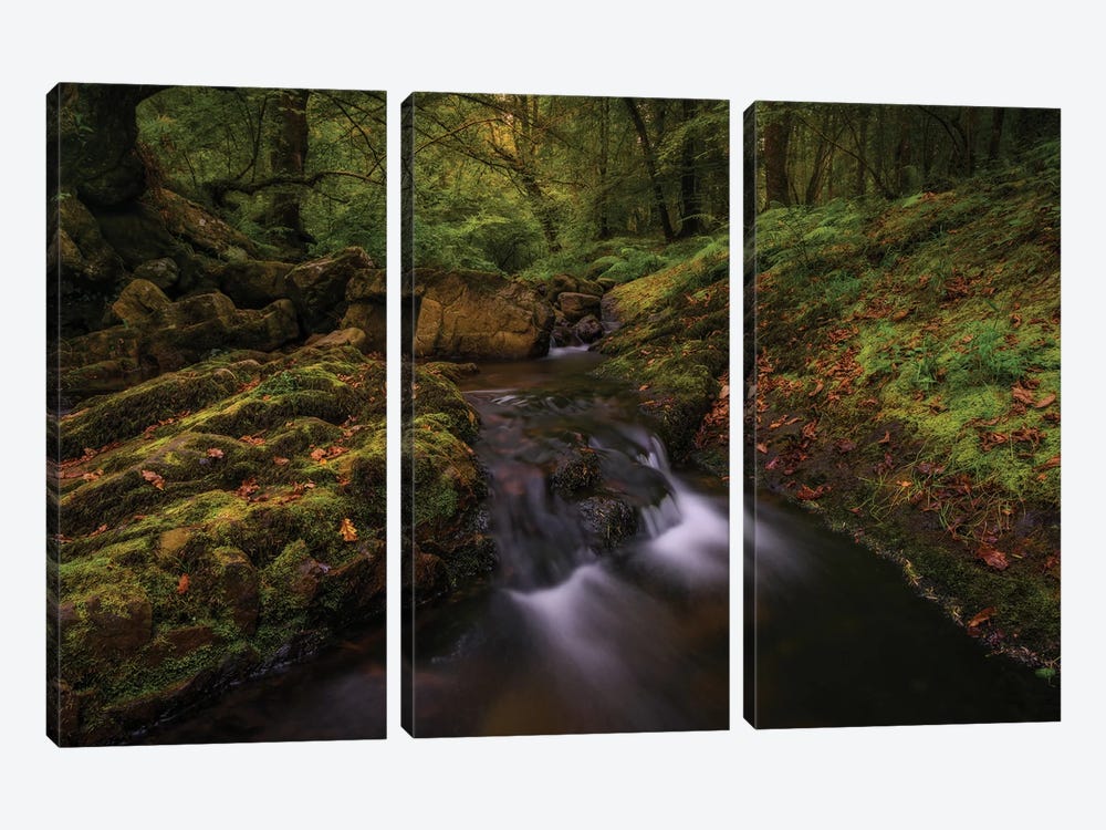 Deep Into The Forest by Sergio Lanza 3-piece Canvas Wall Art