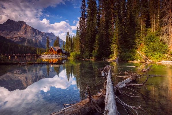Evergreen Trees: Emerald Lake by Sergio Lanza