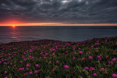 Fading Lights by Sergio Lanza canvas print