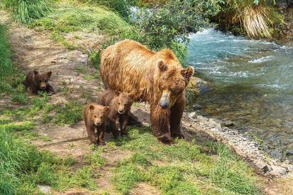 Sergio Lanza: Family Time by Sergio Lanza