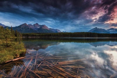 Herbert Logs by Sergio Lanza framed canvas print