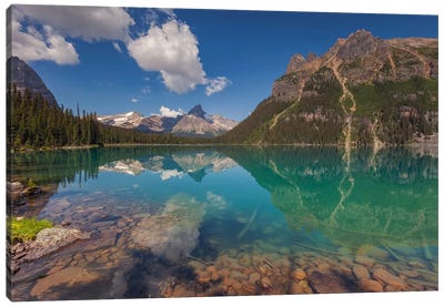 Lake O'Hara, British Columbia, Canada I Canvas Art Print - Sergio Lanza