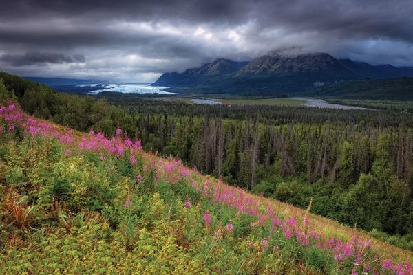 Sergio Lanza: Matanuska-Susitna Valley, Alaska by Sergio Lanza