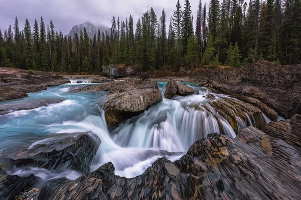 Sergio Lanza: Natural Bridge by Sergio Lanza