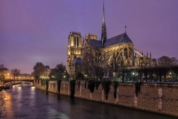 Notre Dame by Sergio Lanza wall art