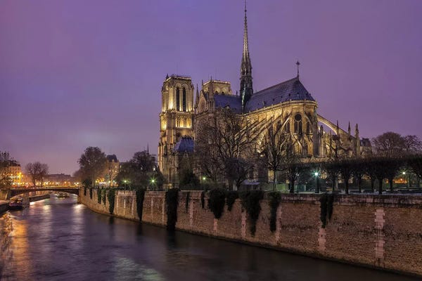Sergio Lanza: Notre Dame by Sergio Lanza