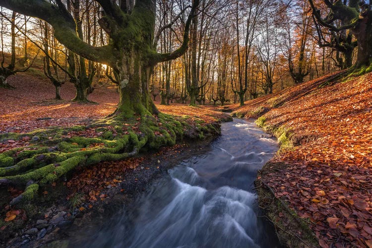 Otzarreta, Spain I