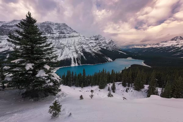 Sergio Lanza: Peyto View by Sergio Lanza