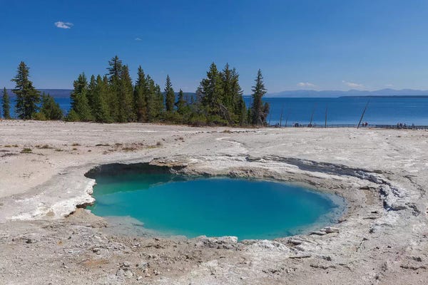 Sergio Lanza: Pond By The Lake by Sergio Lanza
