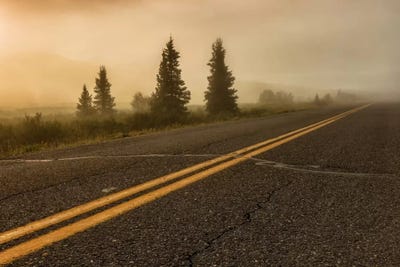 Into The Wild by Sergio Lanza art print