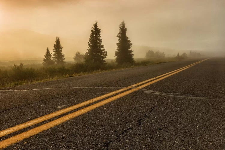 Into The Wild by Sergio Lanza wall art