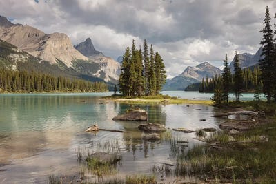 Spirit Island Beauty by Sergio Lanza art print