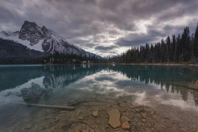 The Arrow by Sergio Lanza art print