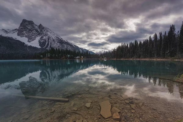 Sergio Lanza: The Arrow by Sergio Lanza