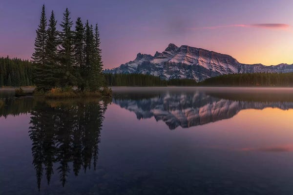 Sergio Lanza: Two Jack by Sergio Lanza