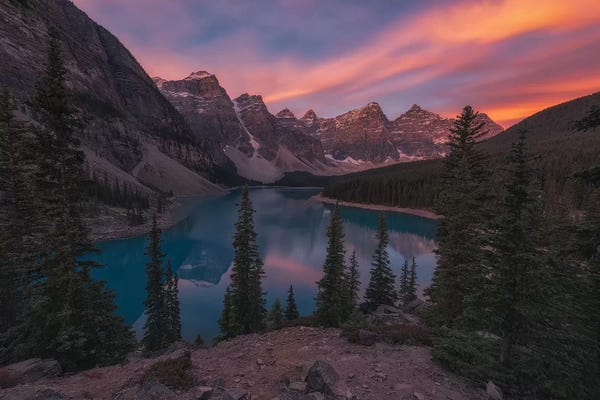 Sergio Lanza: Waking Up by Sergio Lanza