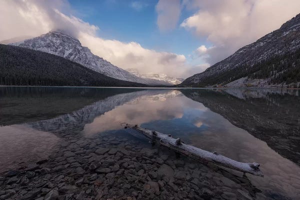 Sergio Lanza: Waterfowl by Sergio Lanza