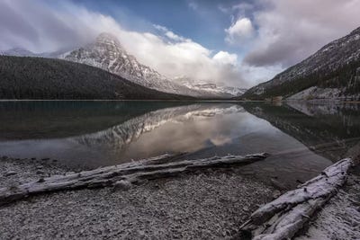 Waterfowl Logs by Sergio Lanza art print