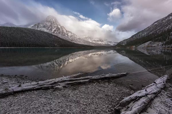 Sergio Lanza: Waterfowl Logs by Sergio Lanza