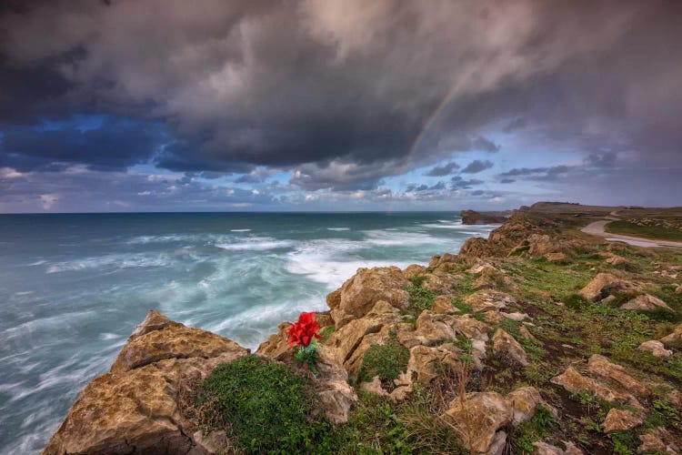 Alone In The Rocks by Sergio Lanza wall art
