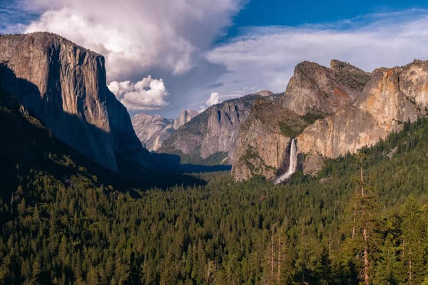Evergreen Trees: Tunnel View by Sergio Lanza