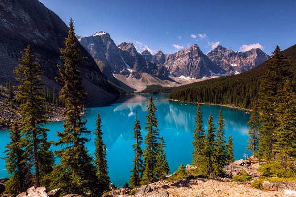 Evergreen Trees: Blue Moraine by Sergio Lanza