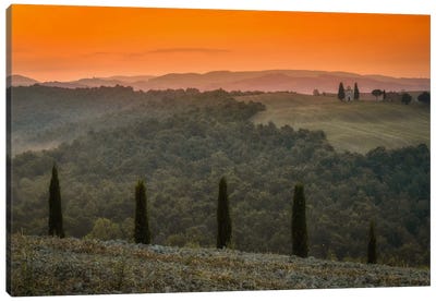Tuscany Canvas Art Print - Moody Lit Photography