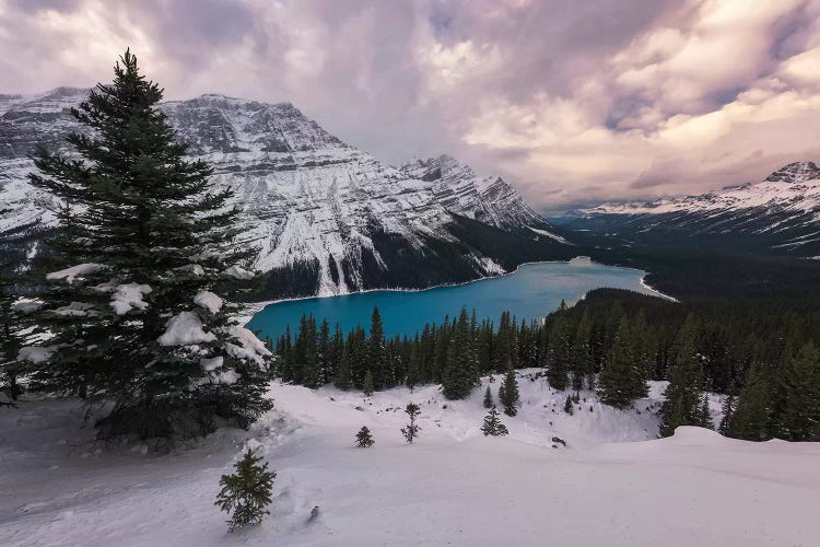 Alberta's Winters