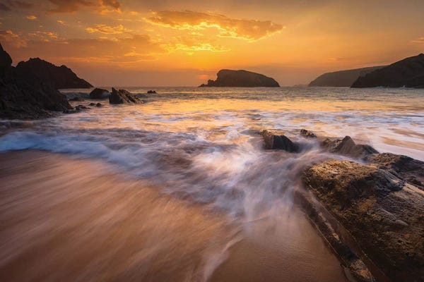 Sergio Lanza: Arnia II by Sergio Lanza