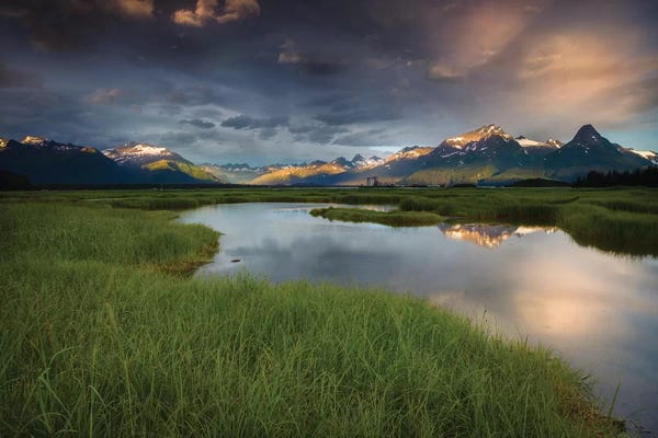 Sergio Lanza: Beautiful Valdez by Sergio Lanza