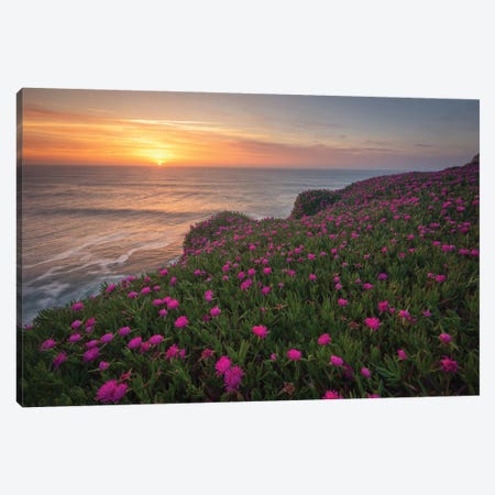 Blooming Times Canvas Print #LNZ85} by Sergio Lanza Canvas Art