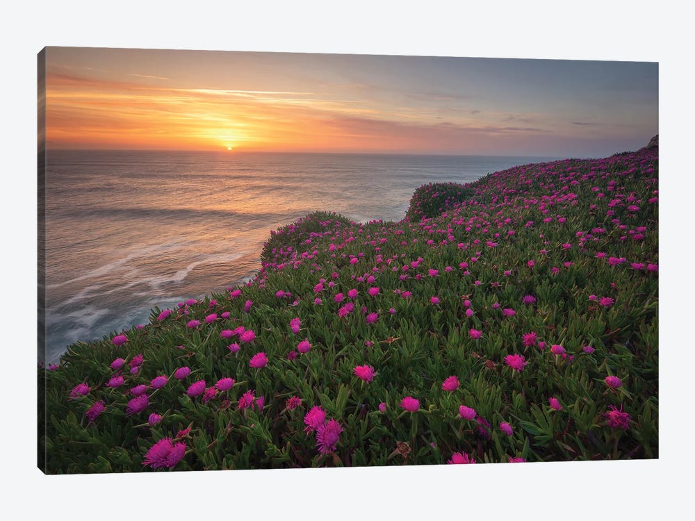 Blooming Times by Sergio Lanza 1-piece Canvas Art Print