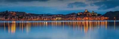 Blue Vincent by Sergio Lanza canvas print